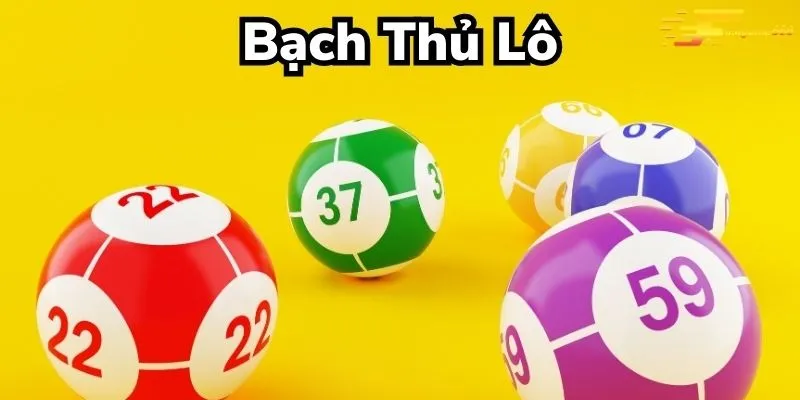 huong-dan-chi-tiet-nhung-cach-soi-cau-bach-thu-hieu-qua